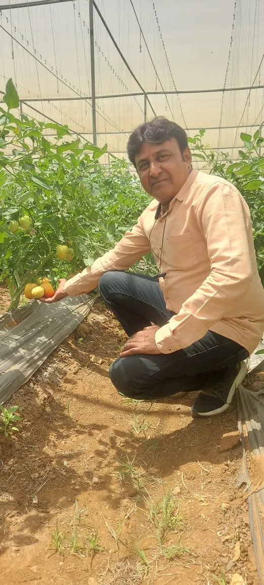 ICON Horticulture Field Work - Polyhouse & Net House Construction